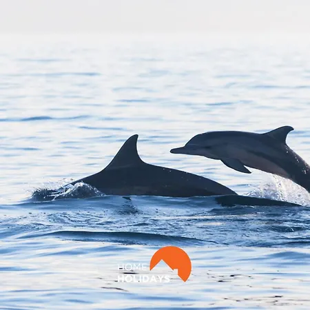 Appartamento #150 Da Rocha Nearby Albufeira