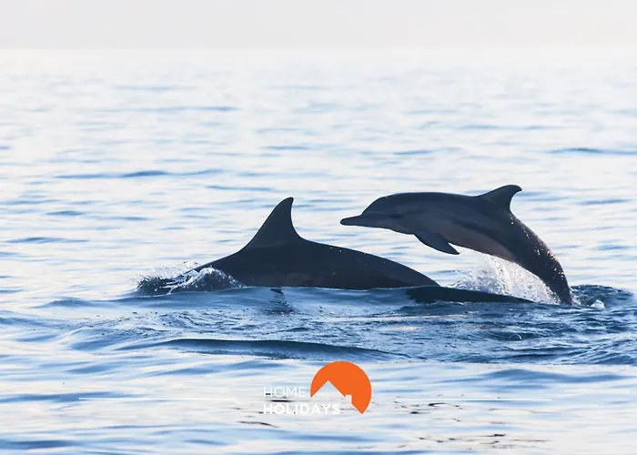 Appartement #150 Da Rocha Nearby Albufeira